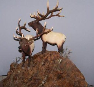Bull Elk Pass