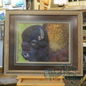 "Codachrome Buffalo"
